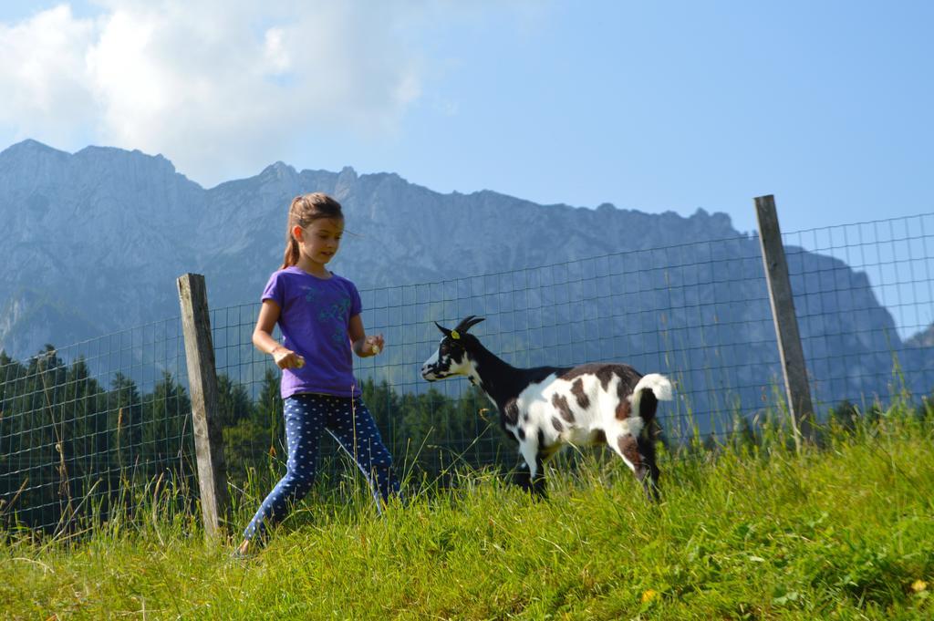 Landgasthof Ledererwirt Pensionat Ebbs Exteriör bild