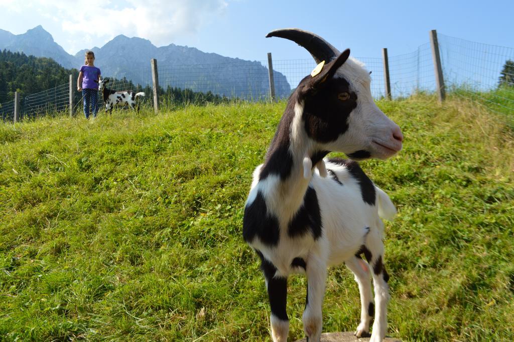 Landgasthof Ledererwirt Pensionat Ebbs Exteriör bild