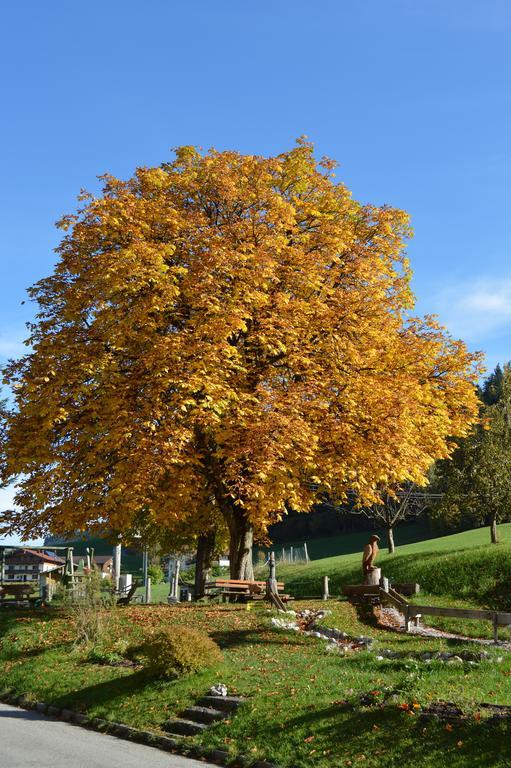 Landgasthof Ledererwirt Pensionat Ebbs Exteriör bild